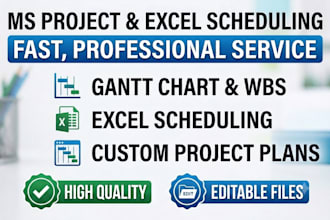 provide project management support in ms project and excel