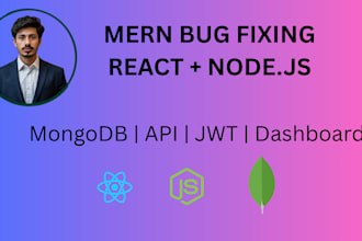 fix bugs and add custom features to mern ecommerce applications