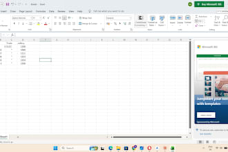 do professional data entry
