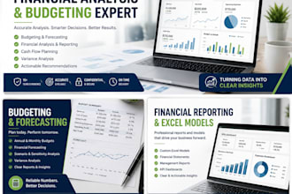 provide professional financial analysis and budgeting