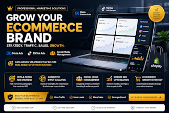 facebook ads expert instagram and tiktok ads for ecommerce