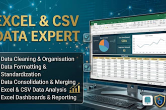 clean, organise, format and analyse your excel or CSV data