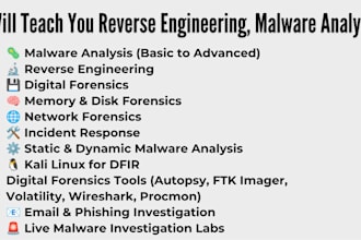 teach you malware analysis and reverse engineering, forensic