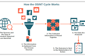 provide anti piracy detection and locate infringing versions of your content