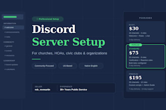 set up a professional discord server for your community