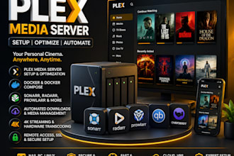 set up and optimize plex media server with docker, sonarr, nas, 4k transcoding