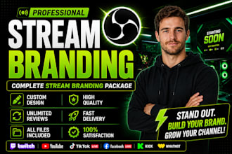 design professional stream branding overlay screen and twitch graphic