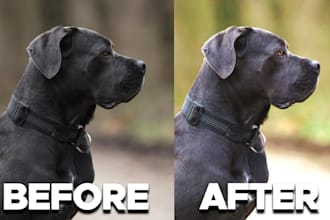 do basic photo editing