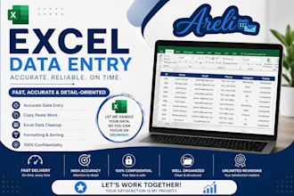 clean, format, and organize your excel data entry