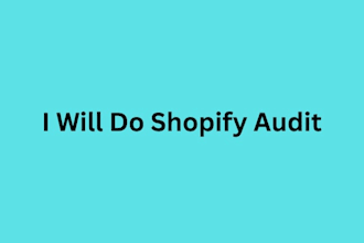 do shopify store audit