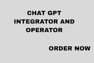 be your professional chat gpt integrator and operator