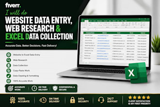 do website data entry, web research, and excel data collection