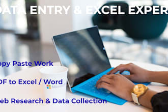 virtual assistant, data entry, administrative, PDF, google