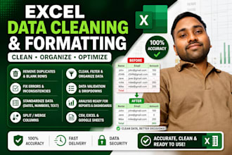 clean and organize large excel datasets with accuracy