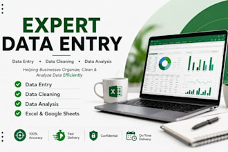 be your professional data entry specialist