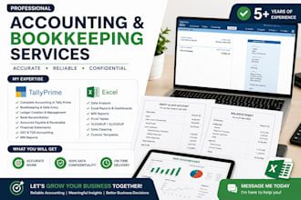 do a professional bookkeeping in tally and excel