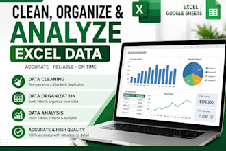 clean, organize and analyze excel data