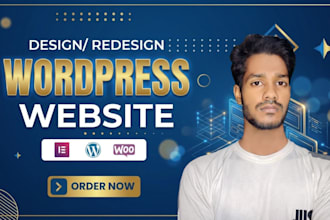 develop divi wordpress, divi builder, wordpress blog and business website