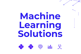 solve your machine learning and ai tasks professionally