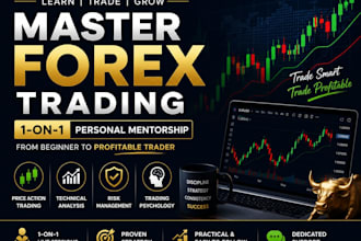 teach you forex trading from beginner to advanced with 1 on 1 mentoring