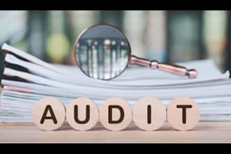 audit and review financial statements of business