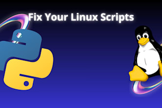 write custom bash scripts and python automation for your linux server