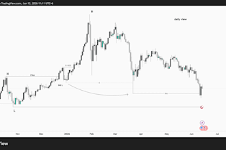 be your professional forex trading mentor and risk coach