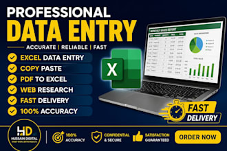 do accurate data entry, excel data typing and web research