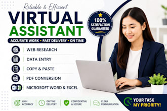 be your virtual assistant for web research, data entry