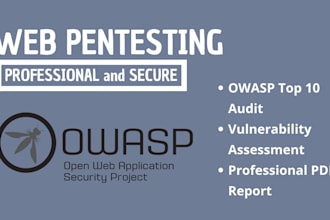 perform a web application penetration test and owasp top 10 security audit