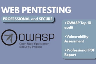 perform a web application penetration test and owasp top 10 security audit