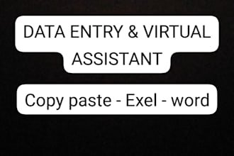 be your reliable virtual asistant for data entry