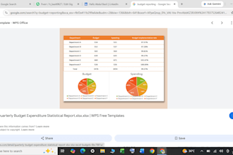 manage your personal and business budget