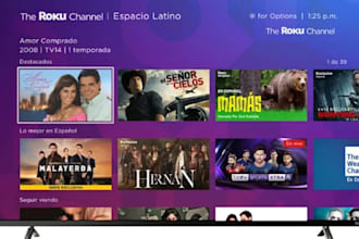 develop and launch custom roku sdk scenegraph TV app or channel
