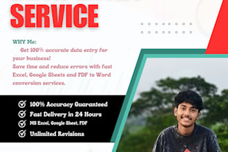 do data entry, excel and google sheets work