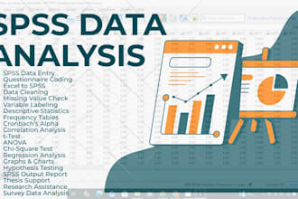 do spss data entry, coding, data cleaning, and statistical analysis