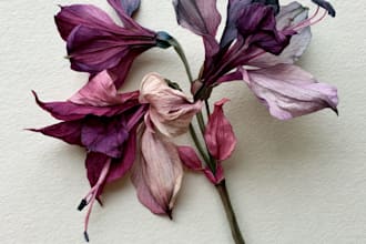 make a botanical illustration of flowers
