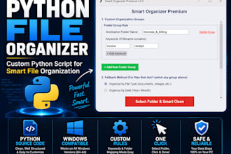 build a custom python script to organize your files