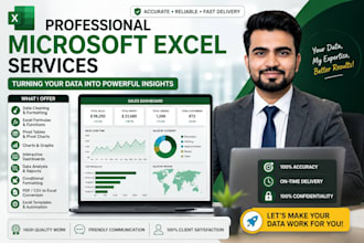 do microsoft excel data cleaning, formulas, charts and dashboards