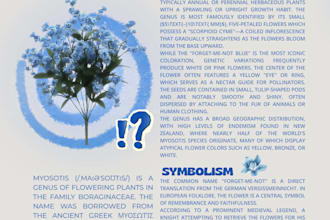 do infographic and poster design