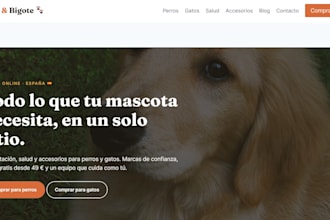 design and build your shopify store with ai