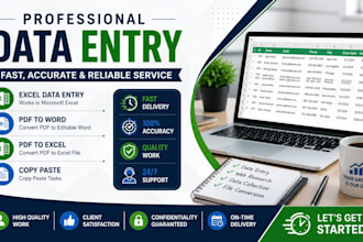 do accurate data entry, excel, copy paste and PDF conversion