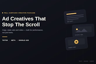 produce complete ad creative package for meta tiktok google