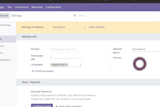 fix bugs or customize your odoo module