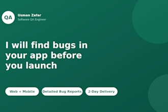 manually test your website and deliver a detailed bug report