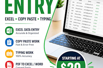 do data entry, excel, copy paste and typing