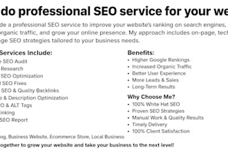 do professional SEO service for your website