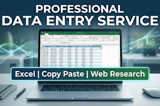 excel data entry, formatting and web research