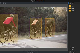 do image annotation and bonding box labeling