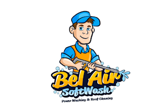 design a cartoon logo for an pressure washing business